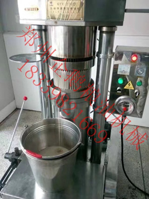 想創(chuàng)業(yè)來(lái)企鵝，企鵝專業(yè)的榨油機(jī)廠家(圖1)