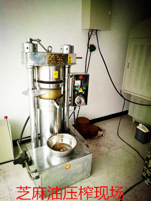 菜籽榨油機使用久了怎么維護保養(圖1) 菜籽榨油機使用久了怎么維護保養(圖1)