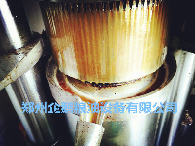 企鵝榨油機新用戶安裝須知(圖1) 企鵝榨油機新用戶安裝須知(圖1)