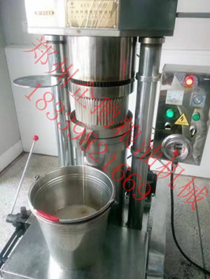想開小油坊?卻不知道怎么選榨油機(jī)設(shè)備(圖1) 想開小油坊?卻不知道怎么選榨油機(jī)設(shè)備(圖1)